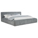 Wilshire California King, E.king, & Queen Bed - Casa Morelos / Coahuila Furniture (Oklahoma City, OK)
