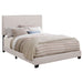 Boyd Panel Bed - Casa Morelos / Coahuila Furniture (Oklahoma City, OK)