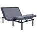 Clara Adjustable Beds - Casa Morelos / Coahuila Furniture (Oklahoma City, OK)