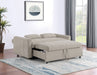 Portland Sofa Bed - Casa Morelos / Coahuila Furniture (Oklahoma City, OK)