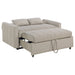 Portland Sofa Bed - Casa Morelos / Coahuila Furniture (Oklahoma City, OK)