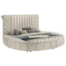 Sonya Eastern King & Queen Bed - Casa Morelos / Coahuila Furniture (Oklahoma City, OK)