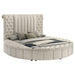Sonya Eastern King & Queen Bed - Casa Morelos / Coahuila Furniture (Oklahoma City, OK)