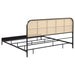 Amherst Eastern King, Queen, Full, & Twin Bed White & Black - Casa Morelos / Coahuila Furniture (Oklahoma City, OK)