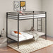 Alevera Bunk Bed - Casa Morelos / Coahuila Furniture (Oklahoma City, OK)