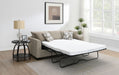 Storey Sleeper Sectionals - Casa Morelos / Coahuila Furniture (Oklahoma City, OK)