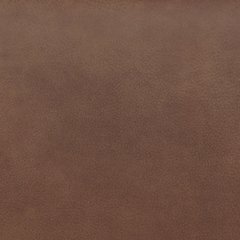Status Check Recliner - Casa Morelos / Coahuila Furniture (Oklahoma City, OK)