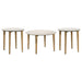 Aldis Coffee Table Sets - Casa Morelos / Coahuila Furniture (Oklahoma City, OK)