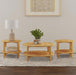 Camillo Coffee Table Sets - Casa Morelos / Coahuila Furniture (Oklahoma City, OK)