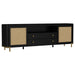 Arini TV Stands - Casa Morelos / Coahuila Furniture (Oklahoma City, OK)