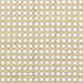 Rayo Accent Chairs - Casa Morelos / Coahuila Furniture (Oklahoma City, OK)