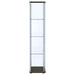 Bellatrix Curio Cabinet - Casa Morelos / Coahuila Furniture (Oklahoma City, OK)