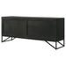 Riddell Accent Cabinets - Casa Morelos / Coahuila Furniture (Oklahoma City, OK)