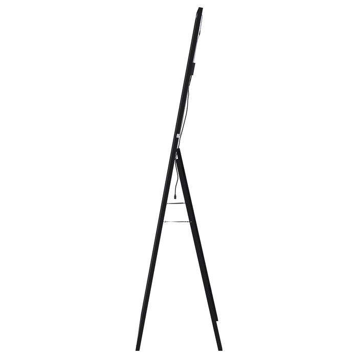 Windrose Standing Mirror - Casa Morelos / Coahuila Furniture (Oklahoma City, OK)