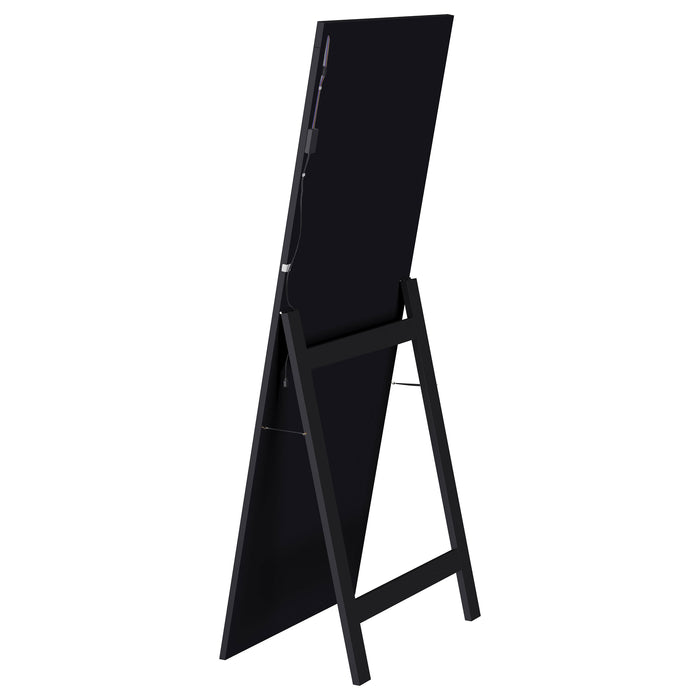 Windrose Standing Mirror - Casa Morelos / Coahuila Furniture (Oklahoma City, OK)