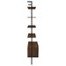 Owens 96-inch 4-shelf Storage Wall Bookshelf Walnut - Casa Morelos / Coahuila Furniture (Oklahoma City, OK)