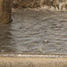 Wallmond Candle Holder - Casa Morelos / Coahuila Furniture (Oklahoma City, OK)