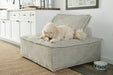 Bales Accent Chair - Casa Morelos / Coahuila Furniture (Oklahoma City, OK)
