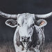 Harlandale Wall Art - Casa Morelos / Coahuila Furniture (Oklahoma City, OK)
