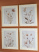 Chettings Wall Art (Set of 4) - Casa Morelos / Coahuila Furniture (Oklahoma City, OK)