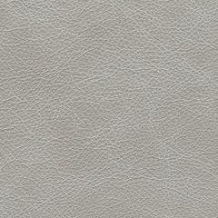 Amiata Upholstery Package - Casa Morelos / Coahuila Furniture (Oklahoma City, OK)