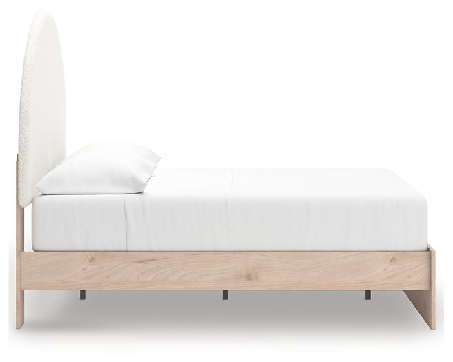 Arloster Upholstered Bed - Casa Morelos / Coahuila Furniture (Oklahoma City, OK)