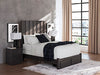 Fraluna Bed - Casa Morelos / Coahuila Furniture (Oklahoma City, OK)