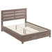 Brantford Eastern King & Queen Panel Bed Barrel Oak - Casa Morelos / Coahuila Furniture (Oklahoma City, OK)