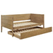 Calinda Daybeds - Casa Morelos / Coahuila Furniture (Oklahoma City, OK)