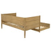 Calinda Daybeds - Casa Morelos / Coahuila Furniture (Oklahoma City, OK)