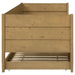 Calinda Daybeds - Casa Morelos / Coahuila Furniture (Oklahoma City, OK)