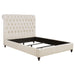 Devon Queen Beds - Casa Morelos / Coahuila Furniture (Oklahoma City, OK)