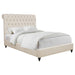 Devon Queen Beds - Casa Morelos / Coahuila Furniture (Oklahoma City, OK)