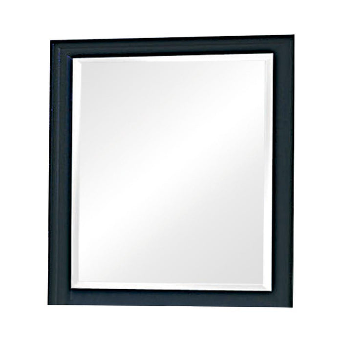 Sandy Beach Vertical Dresser Mirror Black - Casa Morelos / Coahuila Furniture (Oklahoma City, OK)