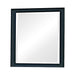 Sandy Beach Vertical Dresser Mirror Black - Casa Morelos / Coahuila Furniture (Oklahoma City, OK)