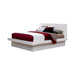 Jessica California King, E.king, & Queen Bed with Storage Headboard Cappuccino - Casa Morelos / Coahuila Furniture (Oklahoma City, OK)