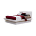 Jessica California King, E.king, & Queen Bed with Storage Headboard Cappuccino - Casa Morelos / Coahuila Furniture (Oklahoma City, OK)