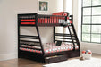 Ashton Twin Over Full 2-drawer Bunk Bed Cappuccino, White, Navy, Honey, & Brown - Casa Morelos / Coahuila Furniture (Oklahoma City, OK)