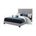 Boyd California King, King, & Queen Upholstered Bed with Nailhead Trim Charcoal & Grey - Casa Morelos / Coahuila Furniture (Oklahoma City, OK)