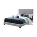 Boyd California King, King, & Queen Upholstered Bed with Nailhead Trim Charcoal & Grey - Casa Morelos / Coahuila Furniture (Oklahoma City, OK)