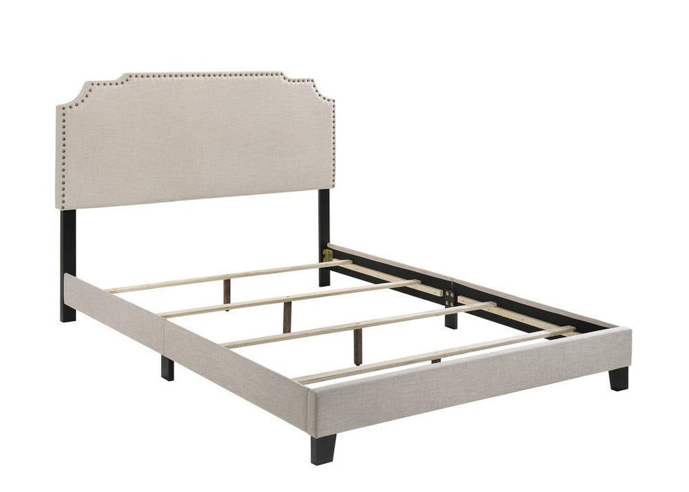Tamarac Upholstered Nailhead Full, Eastern King & Queen Bed Beige & Grey - Casa Morelos / Coahuila Furniture (Oklahoma City, OK)