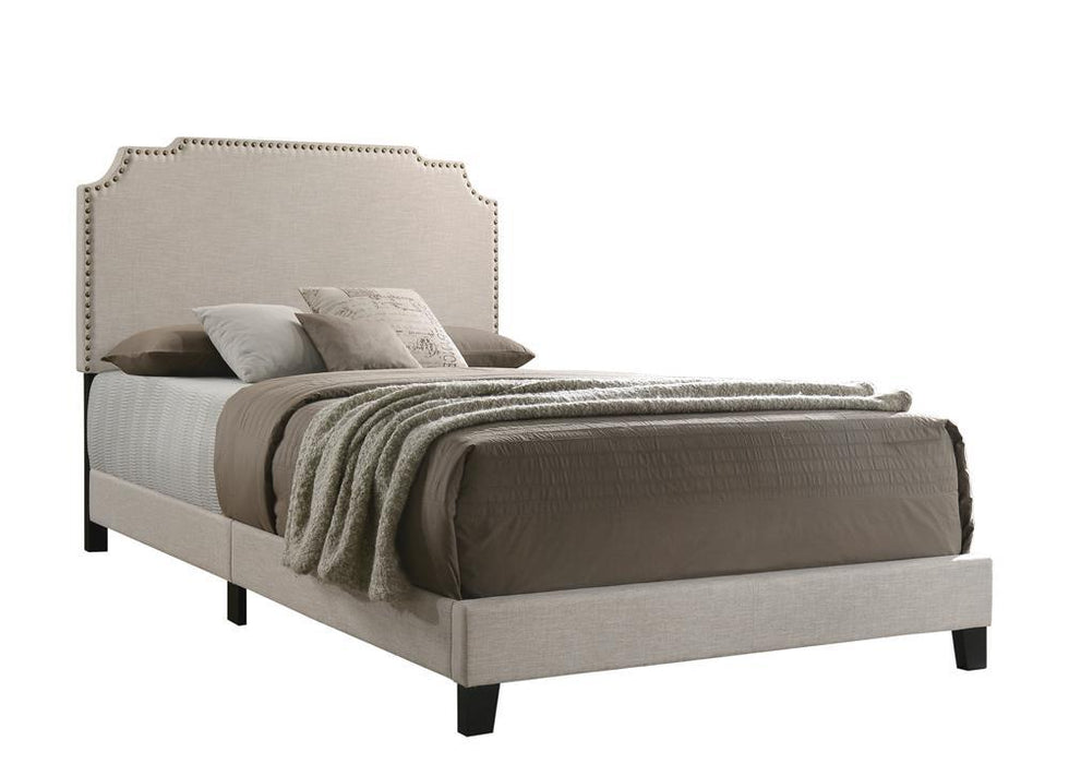 Tamarac Upholstered Nailhead Full, Eastern King & Queen Bed Beige & Grey - Casa Morelos / Coahuila Furniture (Oklahoma City, OK)