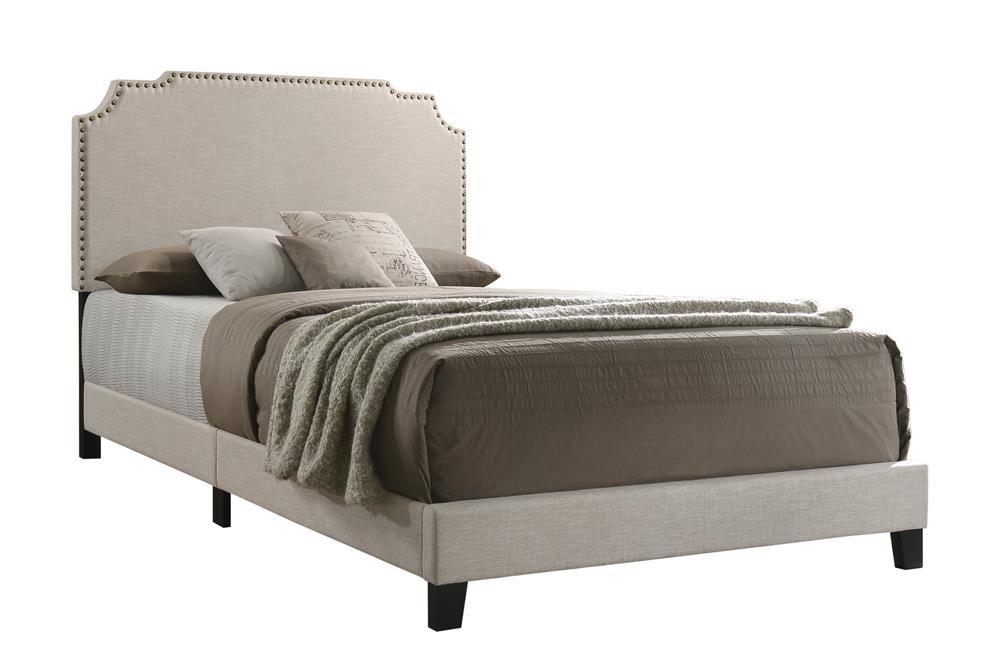 Tamarac Upholstered Nailhead Full, Eastern King & Queen Bed Beige & Grey - Casa Morelos / Coahuila Furniture (Oklahoma City, OK)
