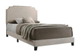 Tamarac Upholstered Nailhead Full, Eastern King & Queen Bed Beige & Grey - Casa Morelos / Coahuila Furniture (Oklahoma City, OK)