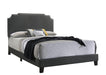 Tamarac Upholstered Nailhead Full, Eastern King & Queen Bed Beige & Grey - Casa Morelos / Coahuila Furniture (Oklahoma City, OK)