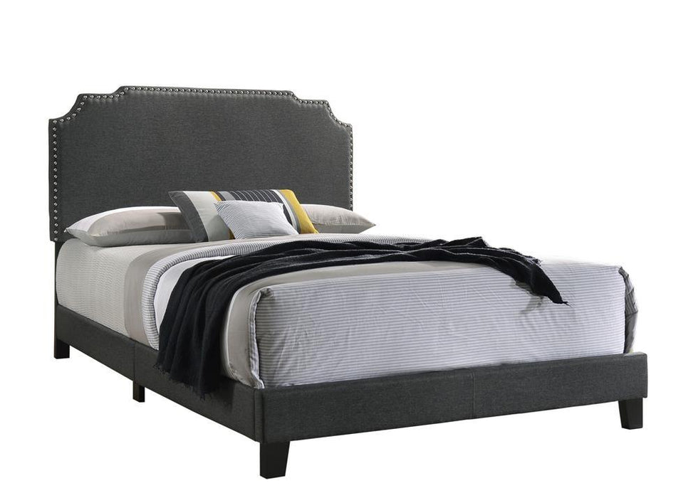 Tamarac Upholstered Nailhead Full, Eastern King & Queen Bed Beige & Grey - Casa Morelos / Coahuila Furniture (Oklahoma City, OK)
