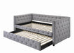 Mockern Tufted Upholstered Daybed with Trundle Grey - Casa Morelos / Coahuila Furniture (Oklahoma City, OK)