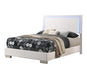 Felicity Full & Twin Panel Bed with LED Lighting Glossy White - Casa Morelos / Coahuila Furniture (Oklahoma City, OK)