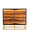 Zara 2-door Accent Cabinet Black Walnut and Gold - Casa Morelos / Coahuila Furniture (Oklahoma City, OK)