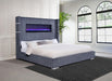 Tisdall California King, E.King & Queen Bed Grey, Black & Queen - Casa Morelos / Coahuila Furniture (Oklahoma City, OK)